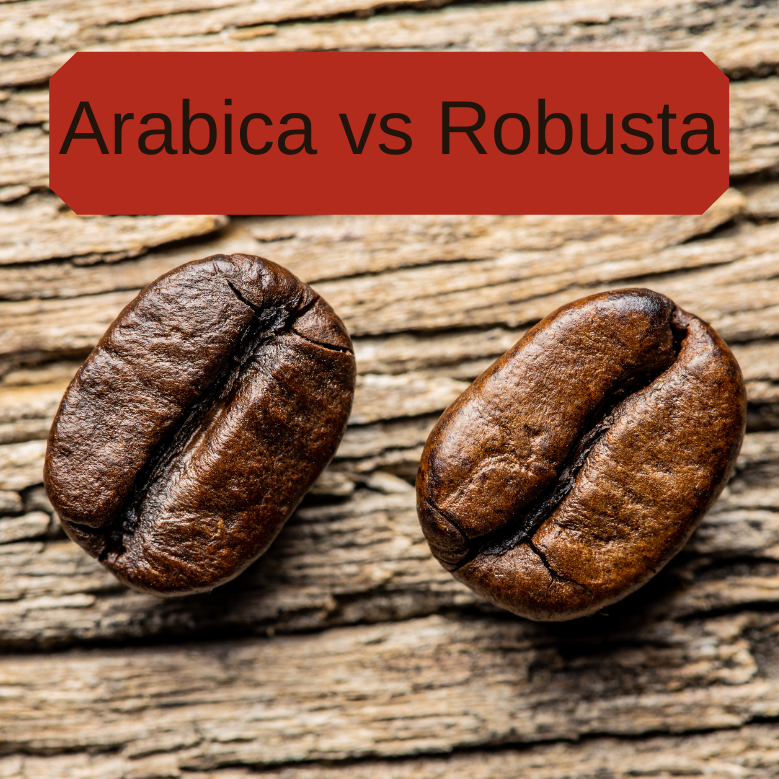 Arabica vs Robusta Coffee Beans